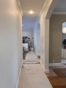 painting contractor Palm Beach before and after photo 1770925911364_IMG_2018